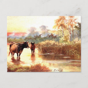 Old Postcard - A Summer Evening