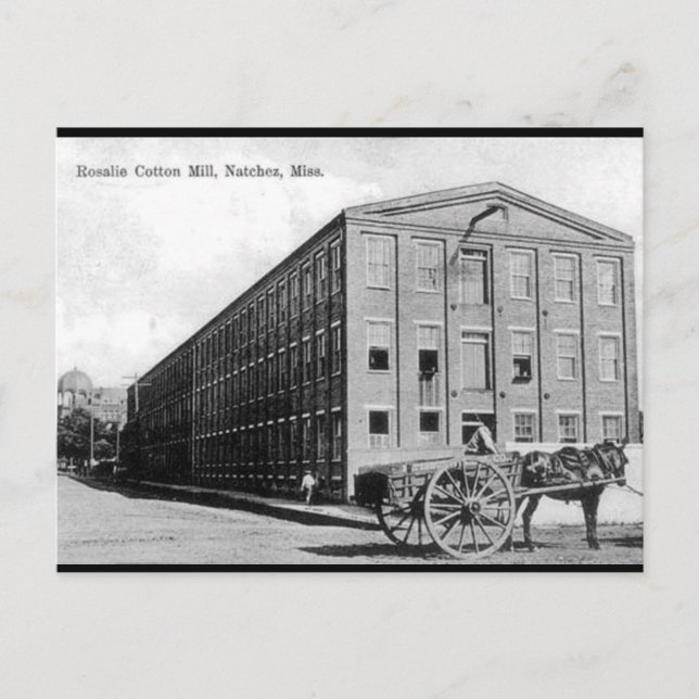 Old Postcard - Natchez, Mississippi (Front)