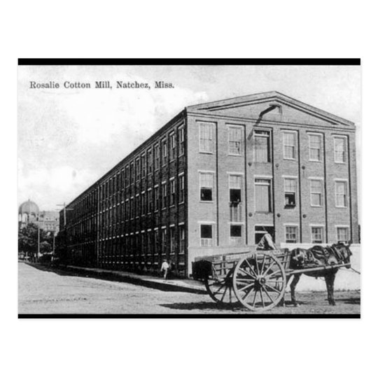 Old Postcard - Natchez, Mississippi