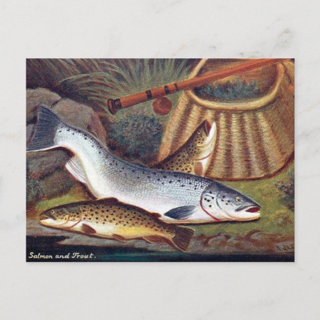 Old Postcard - Salmon and Trout (Front)