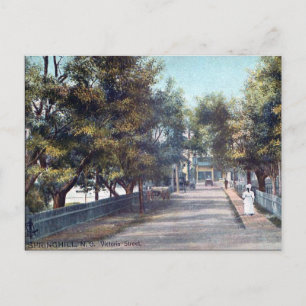 Old Postcard - Springhill, Nova Scotia