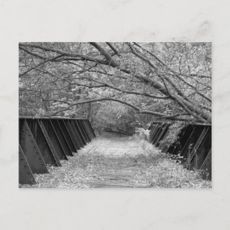 Old Railroad Bridge Postcard
