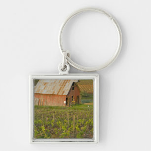 Old red barn at the edge of Zinfandel vineyard Keychain