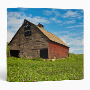 Old, red barn in field of chickpeas binder