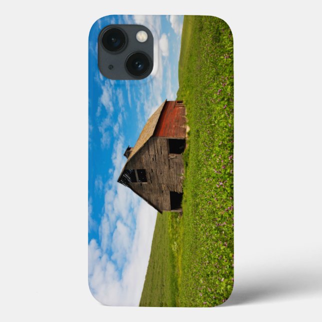 Old, red barn in field of chickpeas Case-Mate iPhone case (Back)