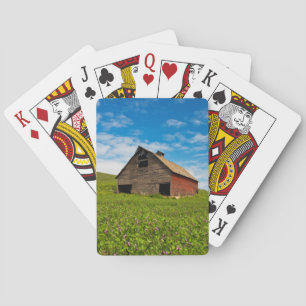 Old, red barn in field of chickpeas playing cards