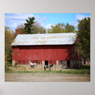 Old Red Barn with Horses Color 16x20 Poster