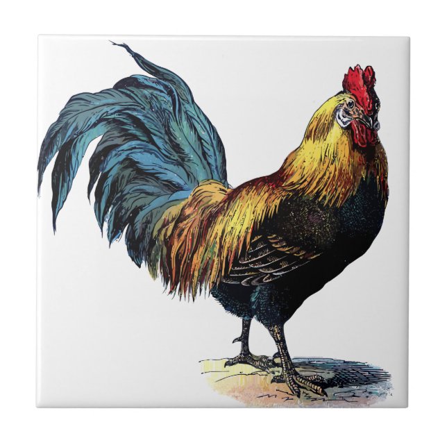 OLD ROOSTER TILE (Front)