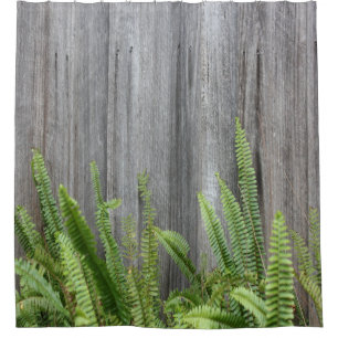 Old Rustic Cedar Fence with Green Ferns
