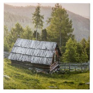 Old Rustic Mountain Cabin in Summer Tile