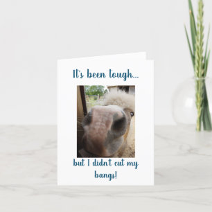 Old School Paper Cards by HwN