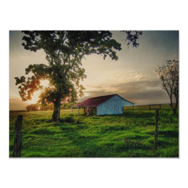 Old Shed Photo Print (Front)
