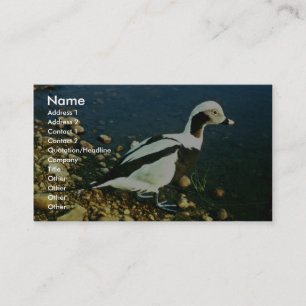 Old Squaw Business Card