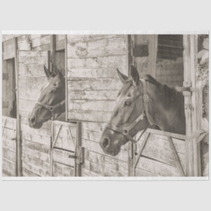 old stable horses tissue paper