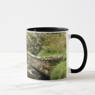 Old Stone Bridge Across A Stream In Dartmoor Park Mug