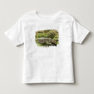 Old Stone Bridge Across A Stream In Dartmoor Park Toddler T-shirt