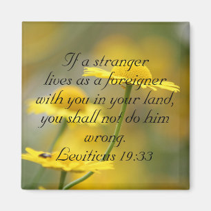 Old Testament Bible Scripture Quote – Leviticus  Magnet