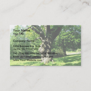 Old Thick Oak Tree Business Card