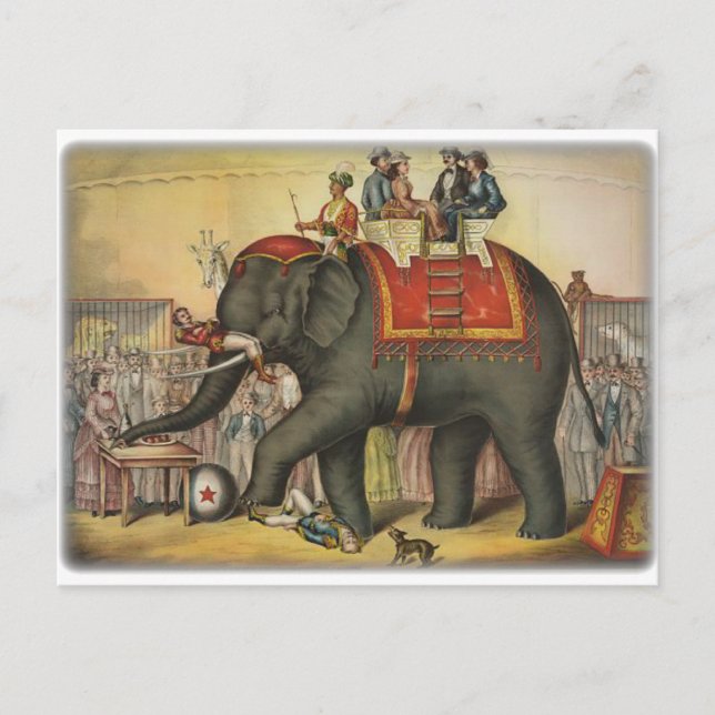 old time performing elephant postcard (Front)