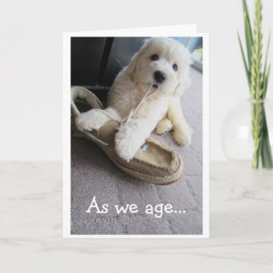 Old Timer Birthday, Cute Goldendoodle pup Humour Card