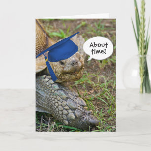 Old Tortoise Graduate with Blue Cap Card