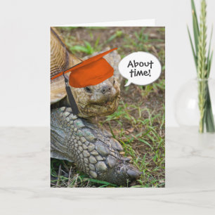 Old Tortoise Graduate with Orange Cap Card