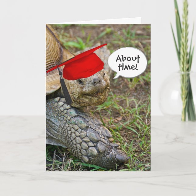 Old Tortoise Graduate with Red Cap Card (Front)