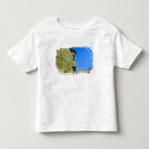 Old town square surrounded by 16th-century toddler t-shirt