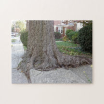 Old Tree and Roots Damaging Sidewalk JigSaw Puzzle