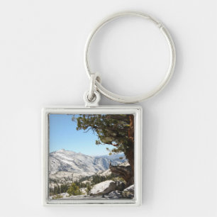 Old Tree at Yosemite National Park Keychain