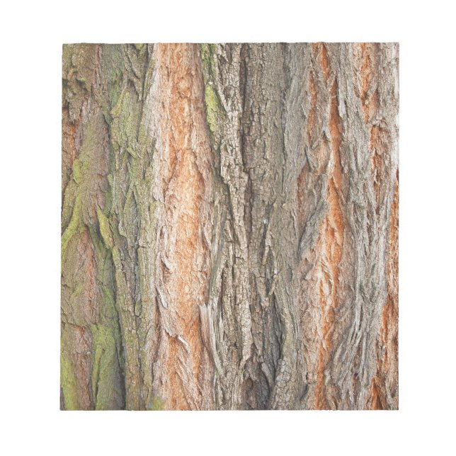 old tree notepad (Front)