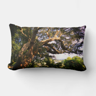 Old Tree Photo Lumbar Pillow