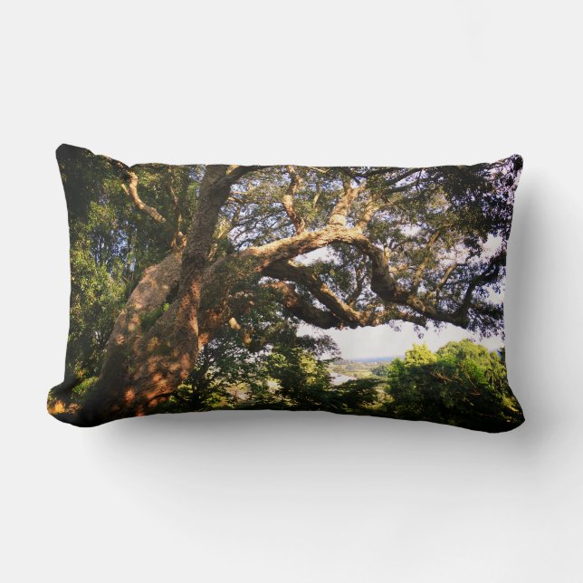 Old Tree Photo Lumbar Pillow (Front)