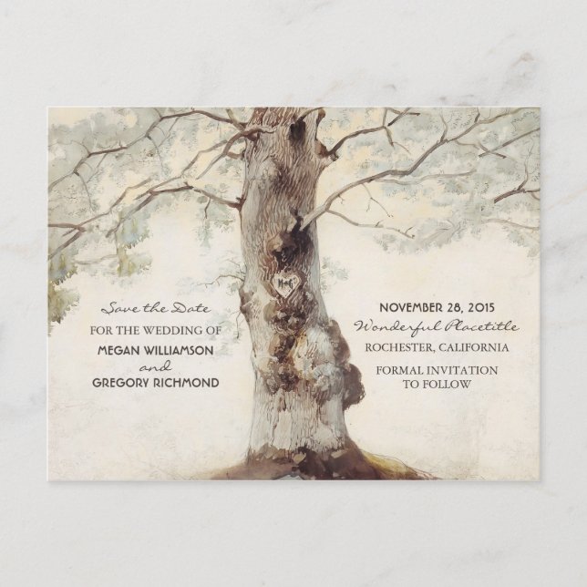 Old Tree Rustic Enregistrer la date Cartes postale (Devant)