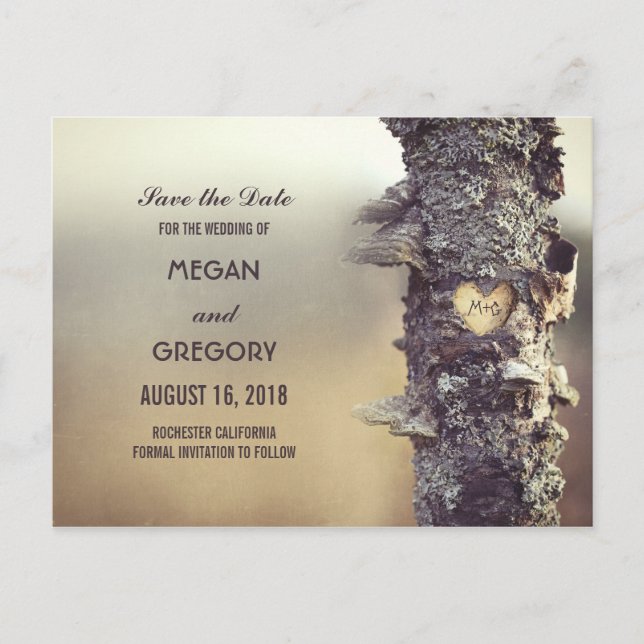 old tree rustic save the date announcement postcard (Front)
