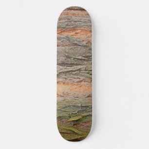 old tree teapot skateboard