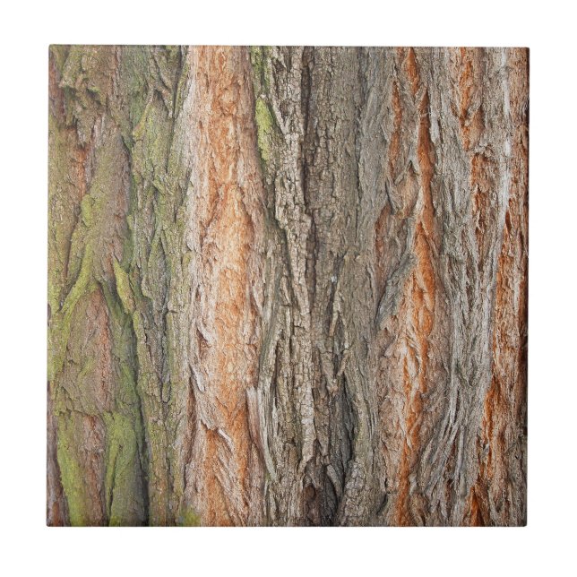 old tree tile (Front)