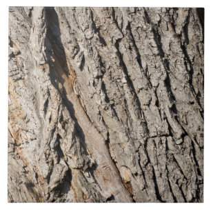 Old trunk pattern tile