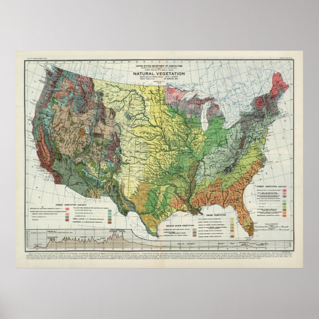 Old US Natural Vegetation Map (1923)  Poster (Front)