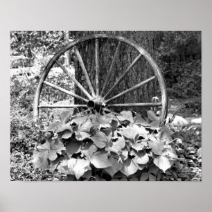 Old Wagon Wheel Garden Black And White Poster
