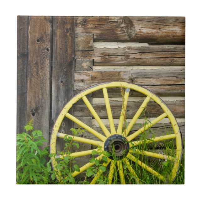 Old wagon wheel in historic old gold town tile (Front)