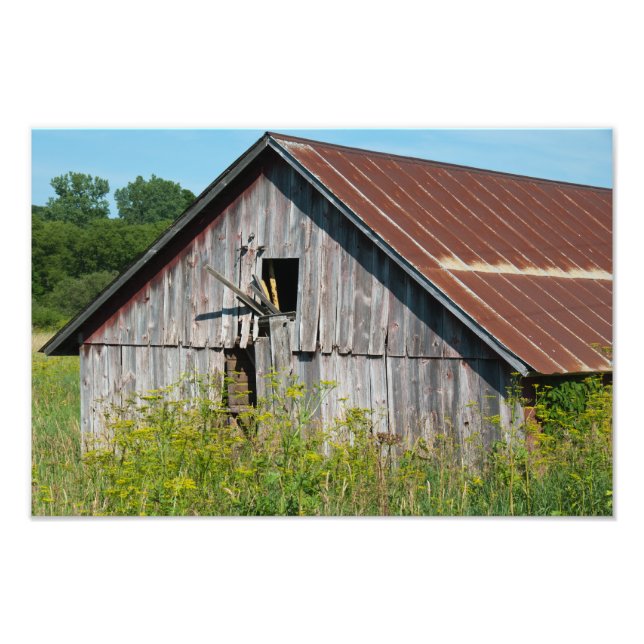 Old Weathered Barn Photo Print (Front)