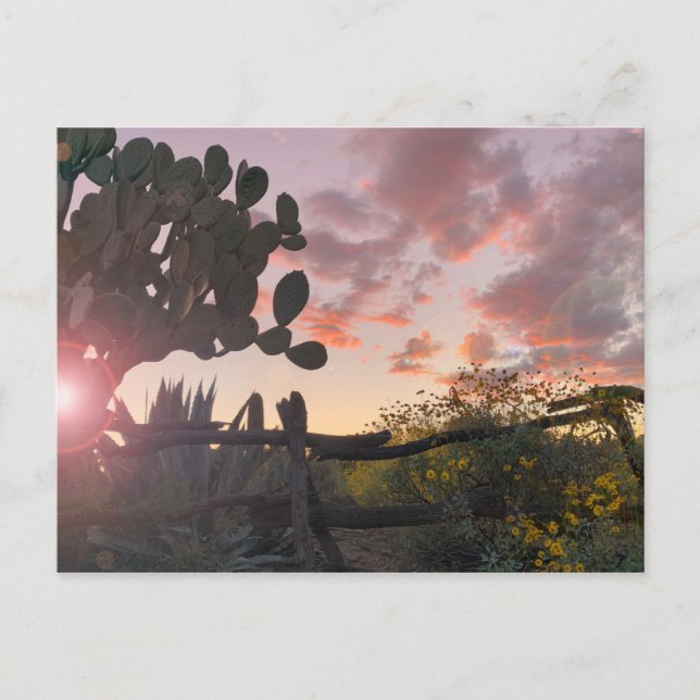Old West Fence Desert Sunset Flare Postcard (Front)