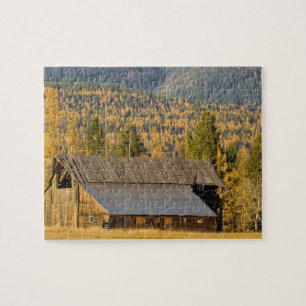 Old wooden barn with autumn tamaracks near jigsaw puzzle