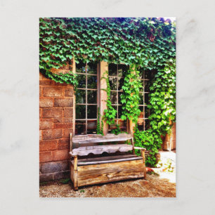 Old Wooden Country Bench Ivy Vines Postcard