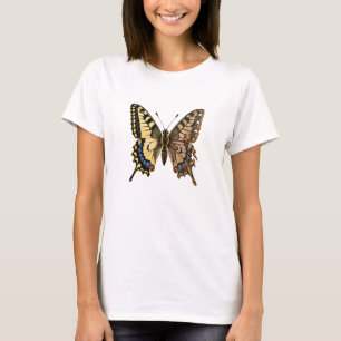 Old World Swallowtail Butterfly Wing Made of Aged T-Shirt