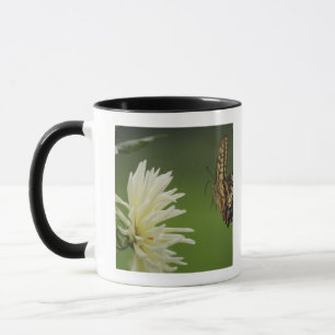 Old World Swallowtail Flying Mug