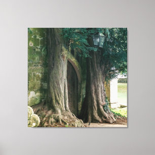 Old Yew Trees Canvas Print