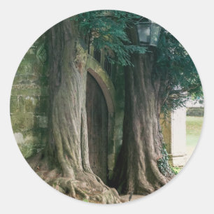 Old Yew Trees Classic Round Sticker