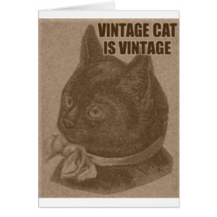 Olde LOLcat